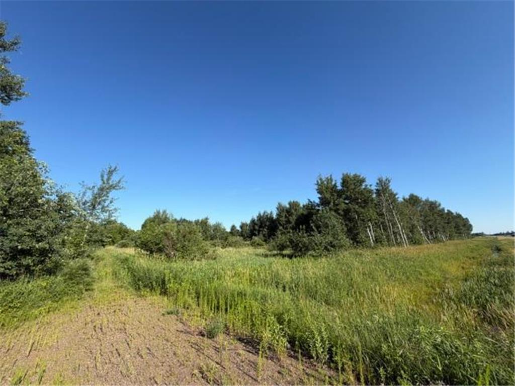 11617 70th Avenue Bogus Brook Twp MN 56353 7096324 image14
