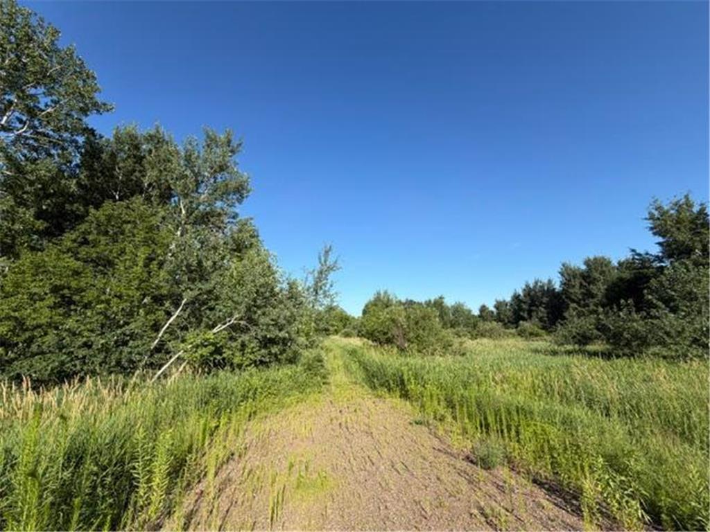 11617 70th Avenue Bogus Brook Twp MN 56353 7096324 image15