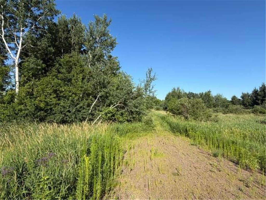 11617 70th Avenue Bogus Brook Twp MN 56353 7096324 image5