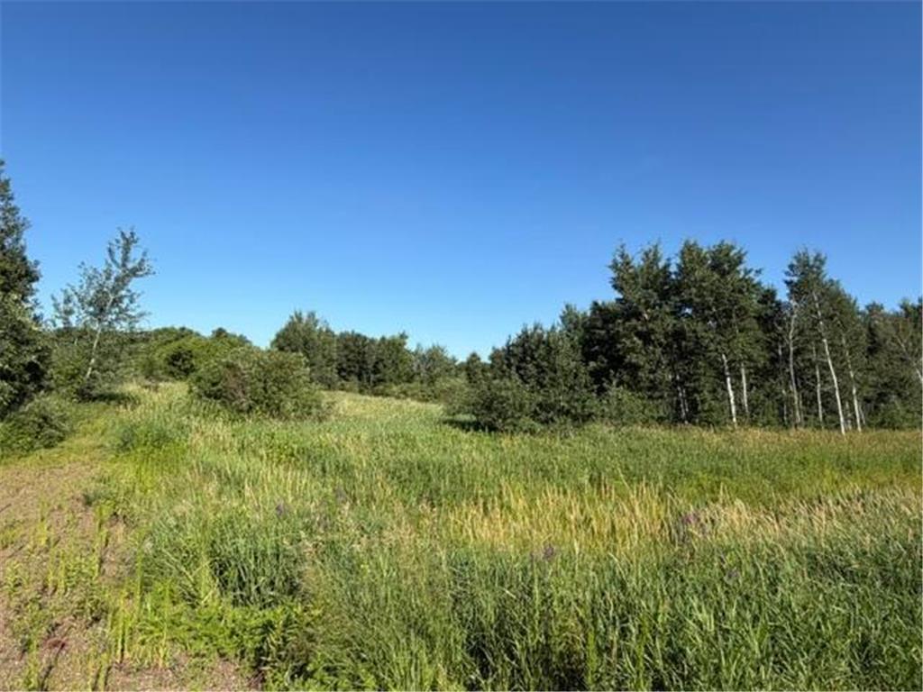 11617 70th Avenue Bogus Brook Twp MN 56353 7096324 image8