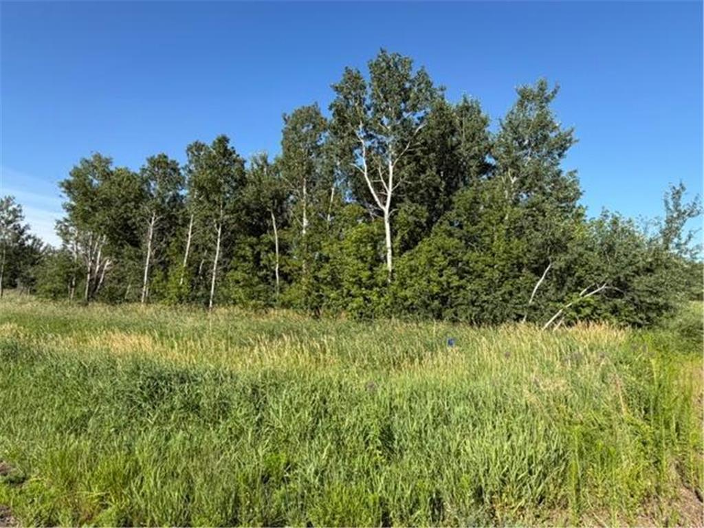 11617 70th Avenue Bogus Brook Twp MN 56353 7096324 image9
