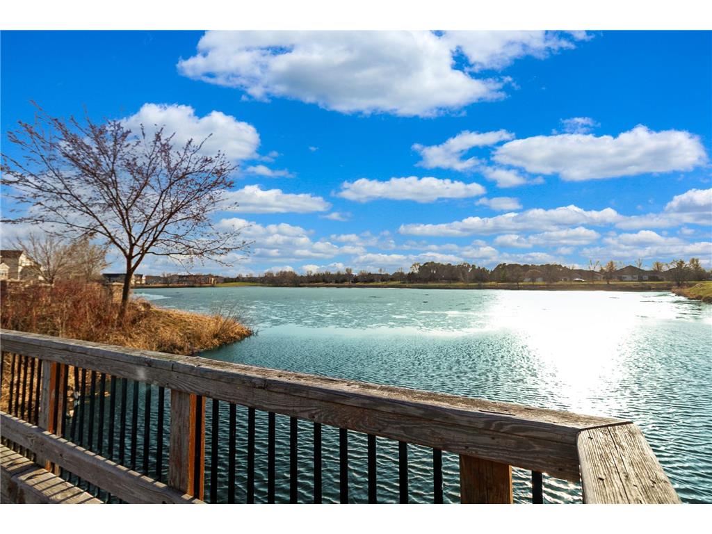 11620 Goodhue Street NE Blaine MN 55449 7046905 image76