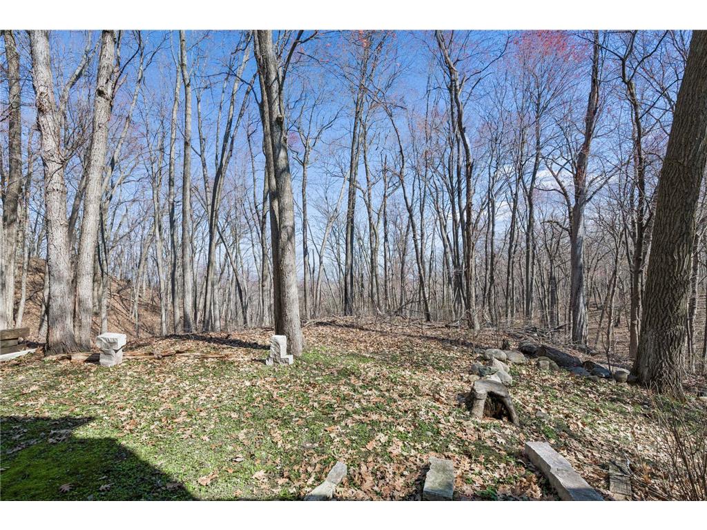 11620 Vista Drive Hopkins MN 55343 7064225 image30