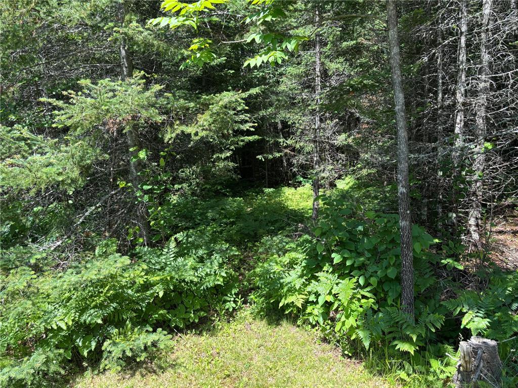 11625 Nett Lake Road Orr MN 55771 7102569 image22