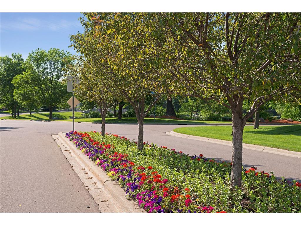 11626 Cedar Pass Minnetonka MN 55305 7075061 image32