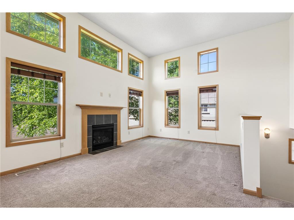 11627 Prospect Curve Woodbury MN 55129 7093200 image8