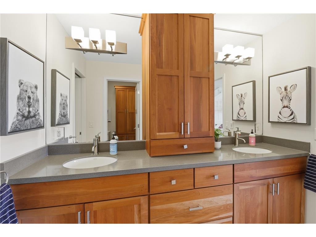11641 Aileron Circle Inver Grove Heights MN 55077 7066080 image27