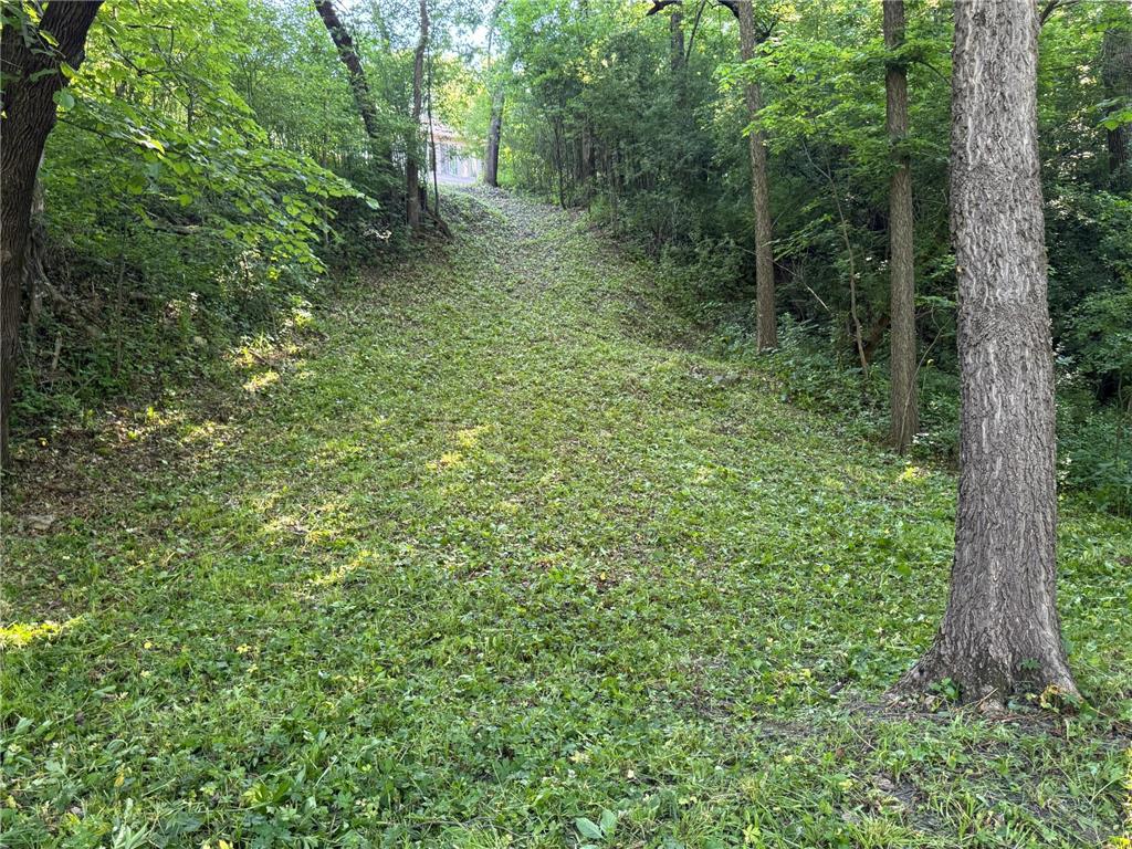 11655 Castle Bluff Lane SW Stewartville MN 55976 - Root River - North Branch 7090492 image27