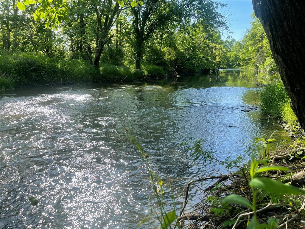 11655 Castle Bluff Lane SW Stewartville MN 55976 - Root River - North Branch 7090492 image64