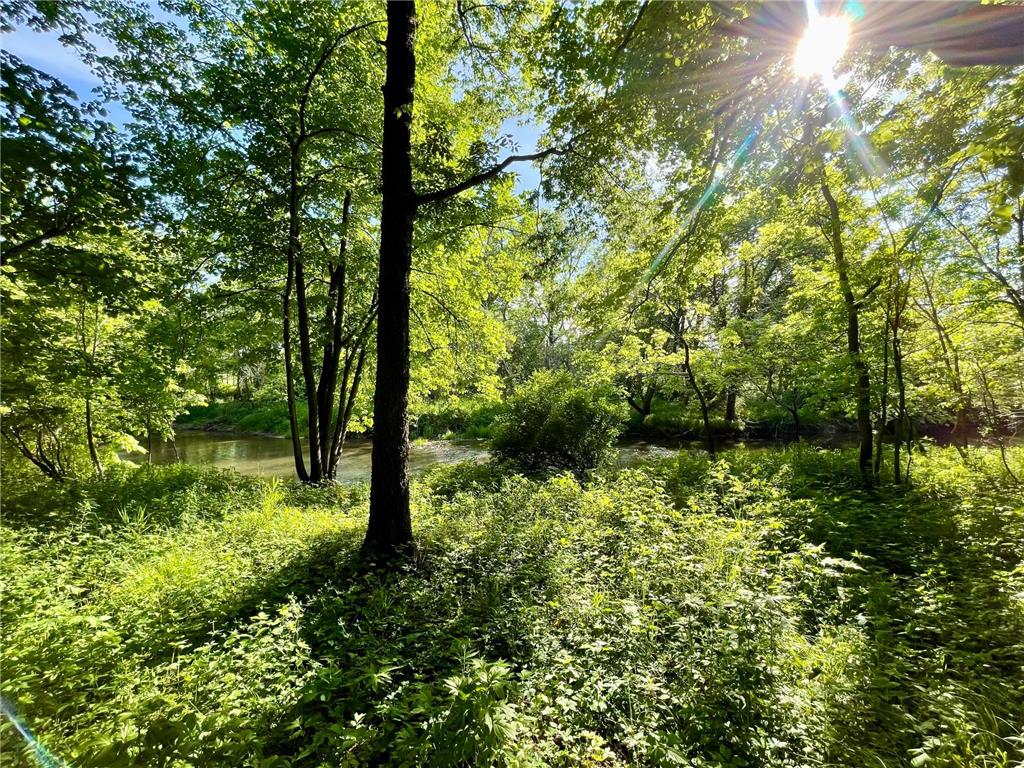 11655 Castle Bluff Lane SW Stewartville MN 55976 - Root River - North Branch 7090492 image66