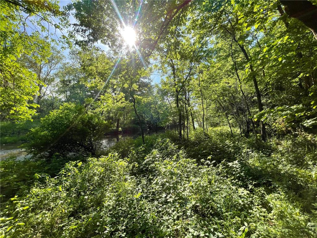 11655 Castle Bluff Lane SW Stewartville MN 55976 - Root River - North Branch 7090492 image73