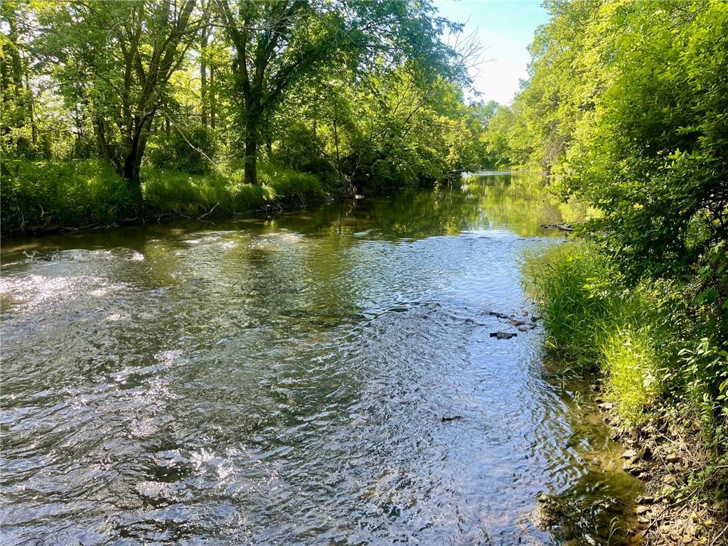 11655 Castle Bluff Lane SW Stewartville MN 55976 - Root River - North Branch 7090492 image9