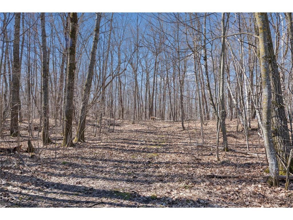 1166 315th Avenue Clam Falls WI 54837 7055925 image33