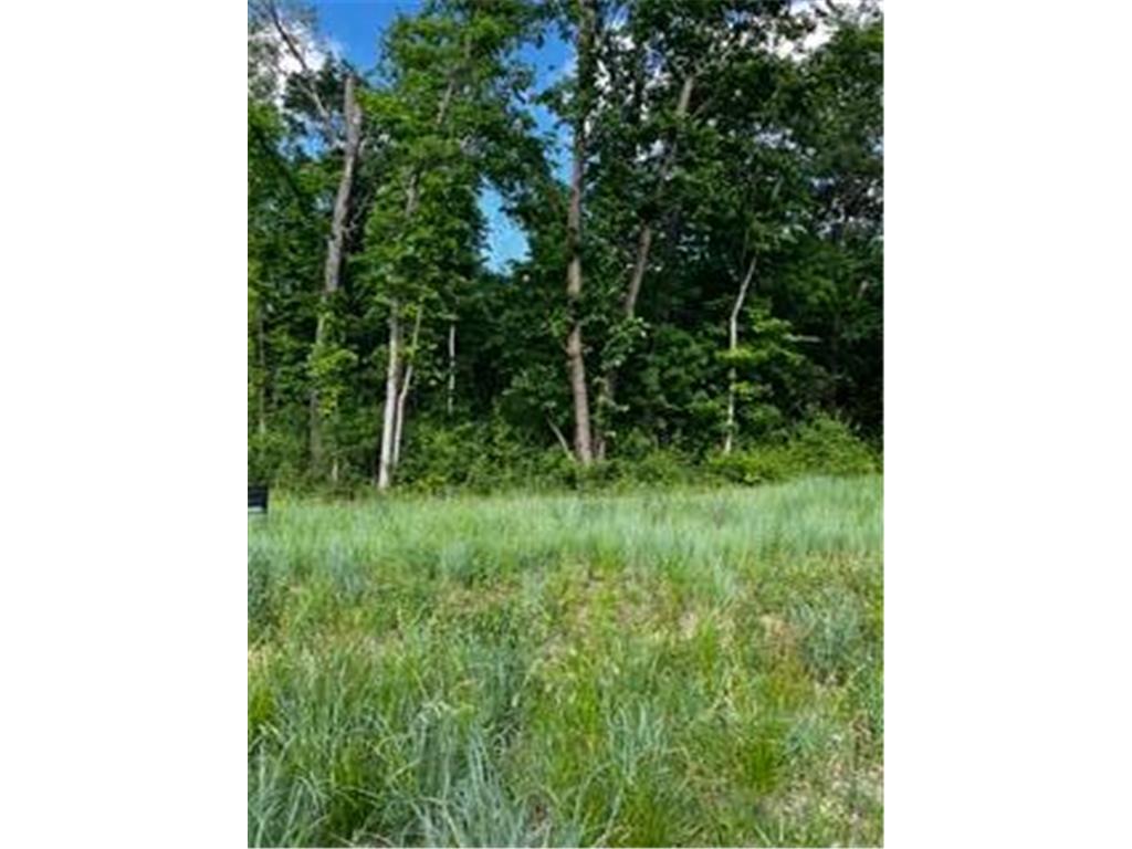 1166 Boulder Creek Lane SW Rochester MN 55902 7037666 image10