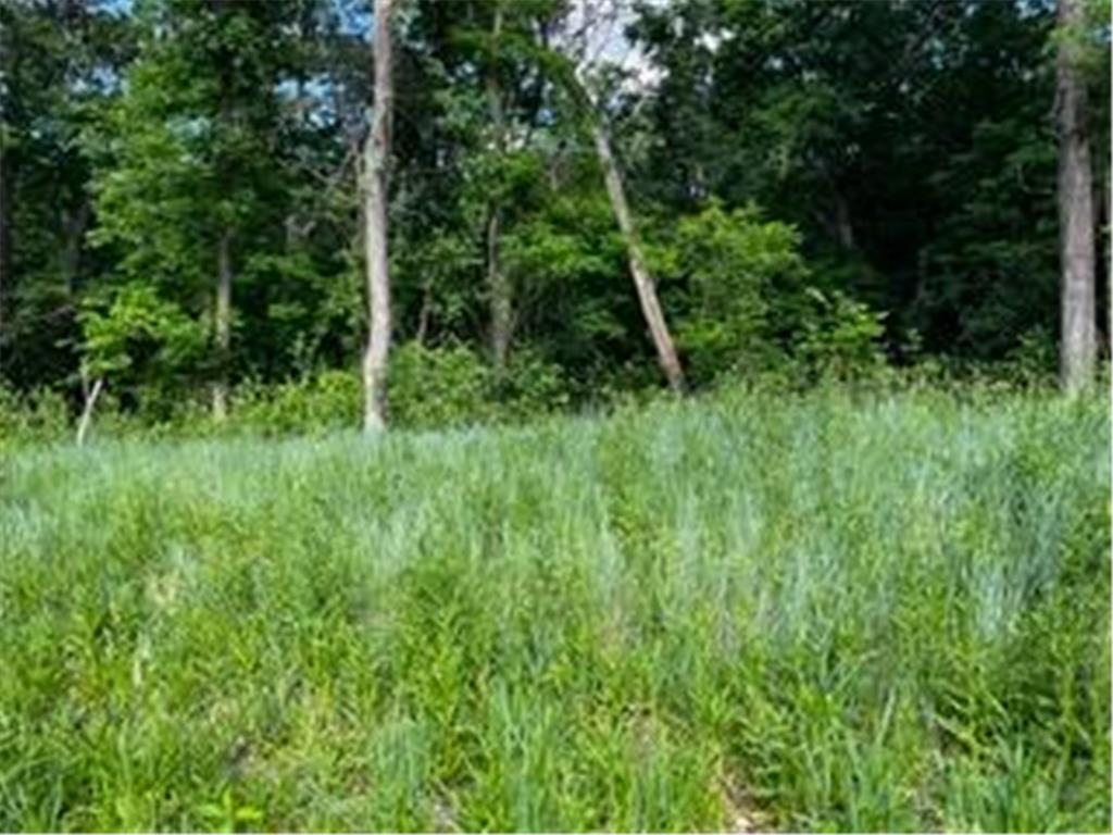 1166 Boulder Creek Lane SW Rochester MN 55902 7037666 image11