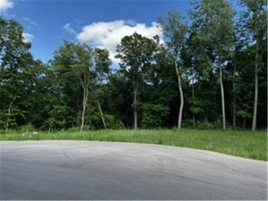 1166 Boulder Creek Lane SW Rochester MN 55902 7037666 image3
