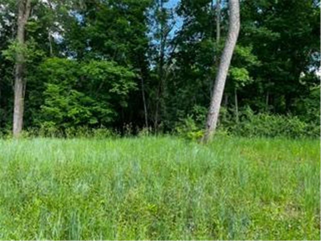 1166 Boulder Creek Lane SW Rochester MN 55902 7037666 image8