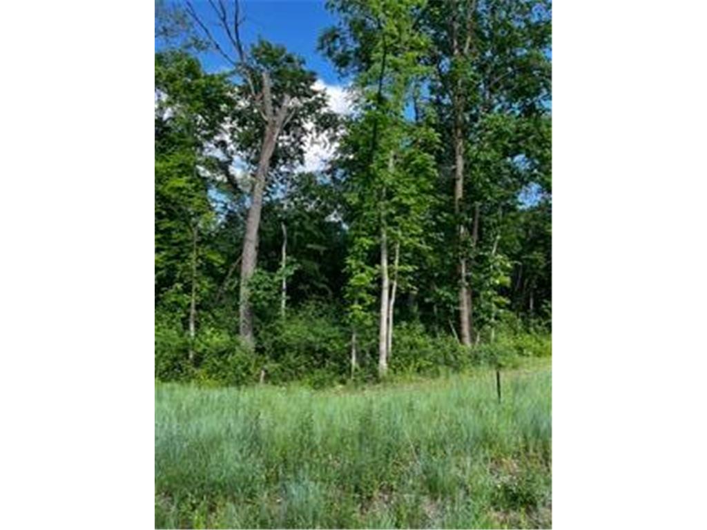1166 Boulder Creek Lane SW Rochester MN 55902 7037666 image9