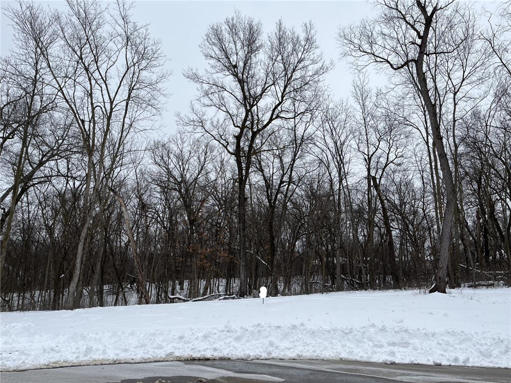 1166 Boulder Creek Lane SW Rochester MN 55902 7037666 image3