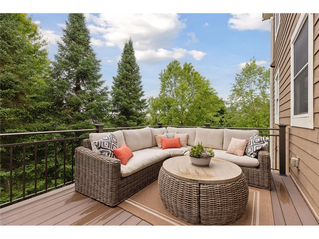 11668 Azure Court Inver Grove Heights MN 55077 7023534 image16