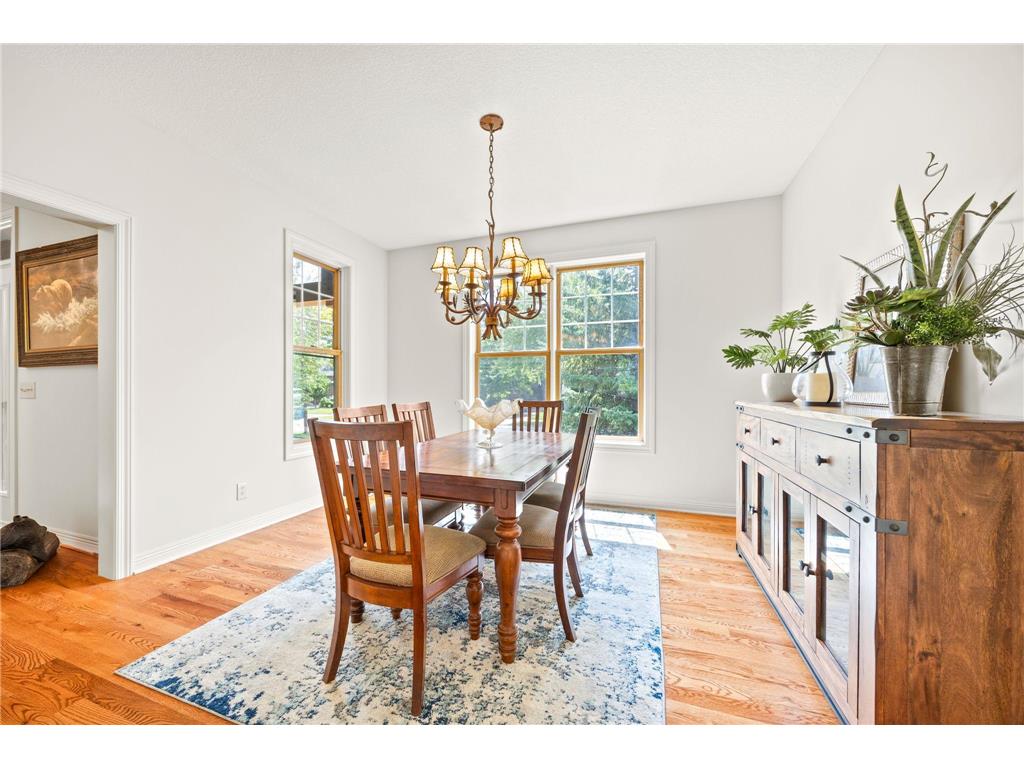 11668 E Laketowne Drive Albertville MN 55301 - Hunters 7101805 image13