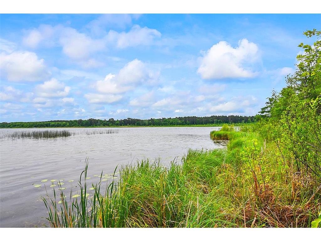 11672 147th Avenue Straight River Twp MN 56464 - Hinds Lake 7078682 image57