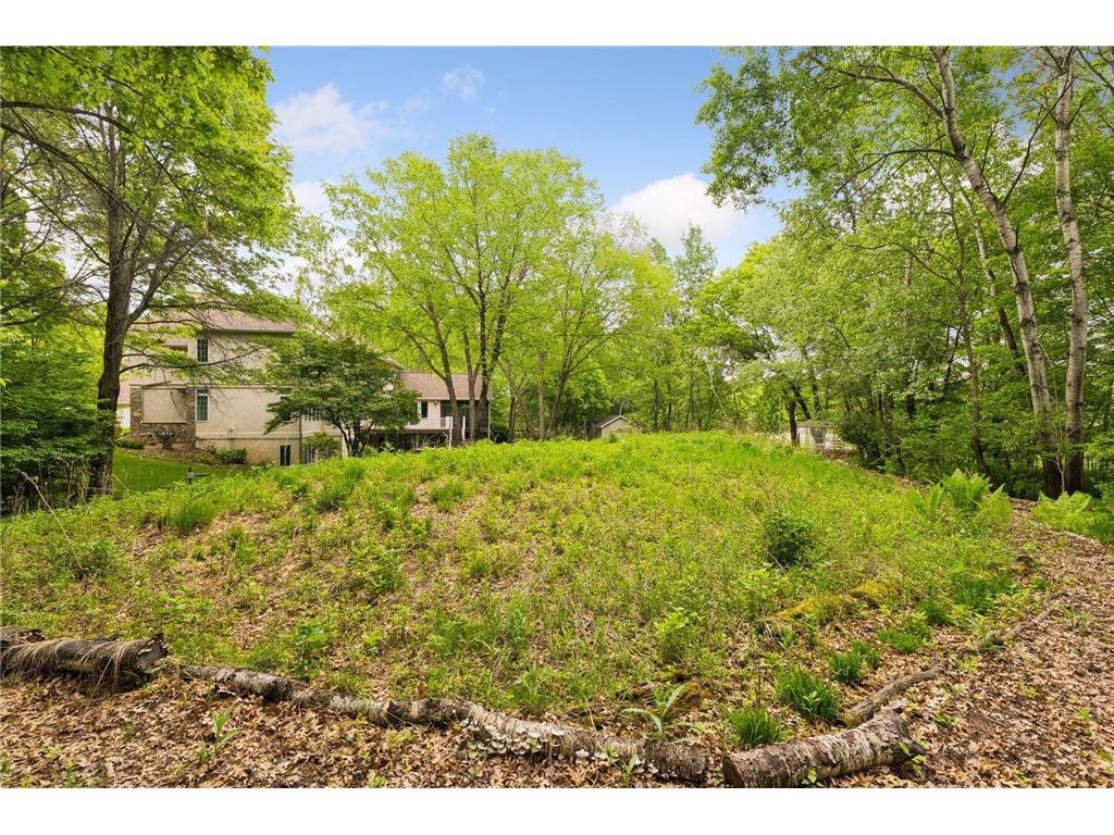 11673 Irish Avenue N Grant MN 55082 7078388 image108