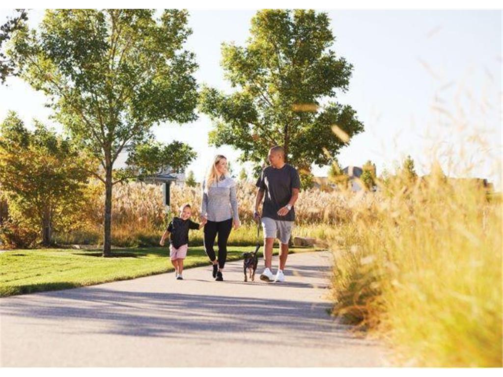 11675 Harbor Lane N Dayton MN 55369 7012515 image39