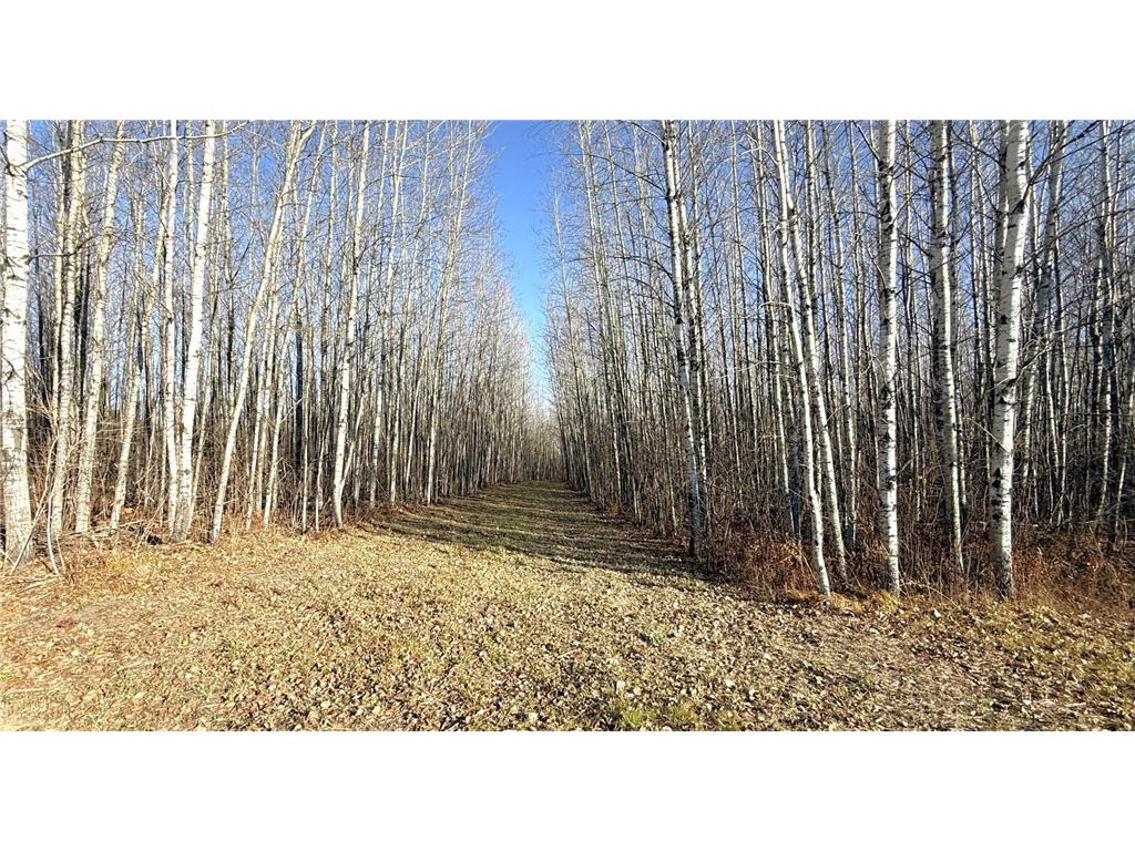 11680 County 59 Road Orr MN 55771 6809368 image15