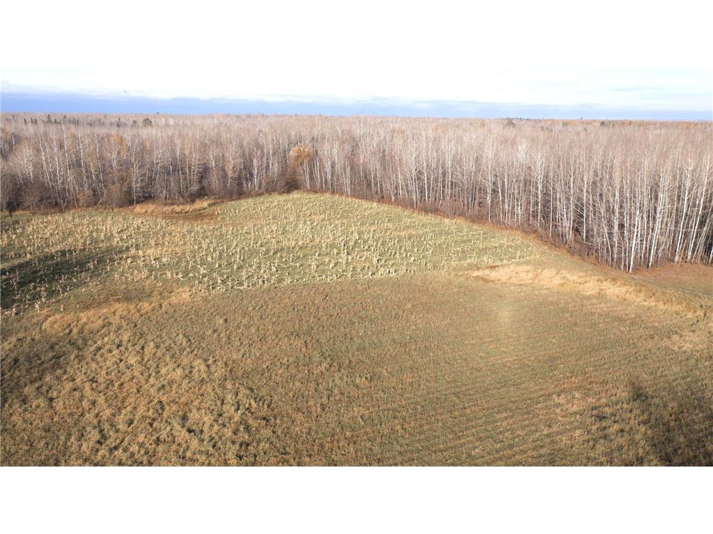 11680 County 59 Road Orr MN 55771 6809368 image5