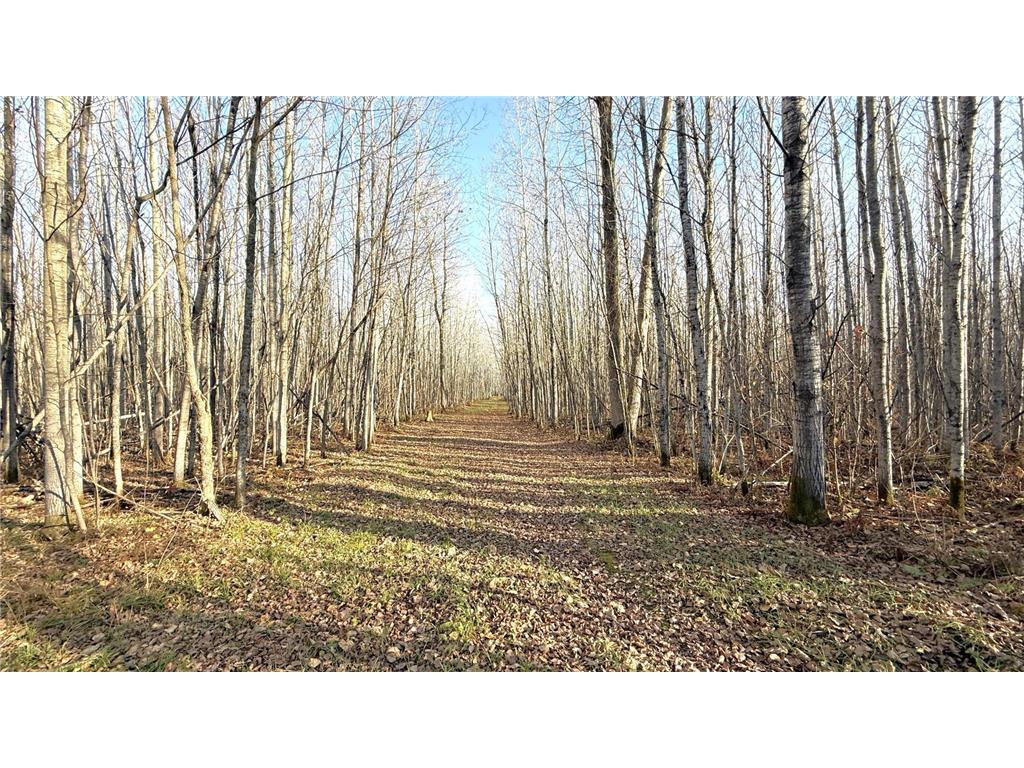 11680 County 59 Road Orr MN 55771 7044810 image10