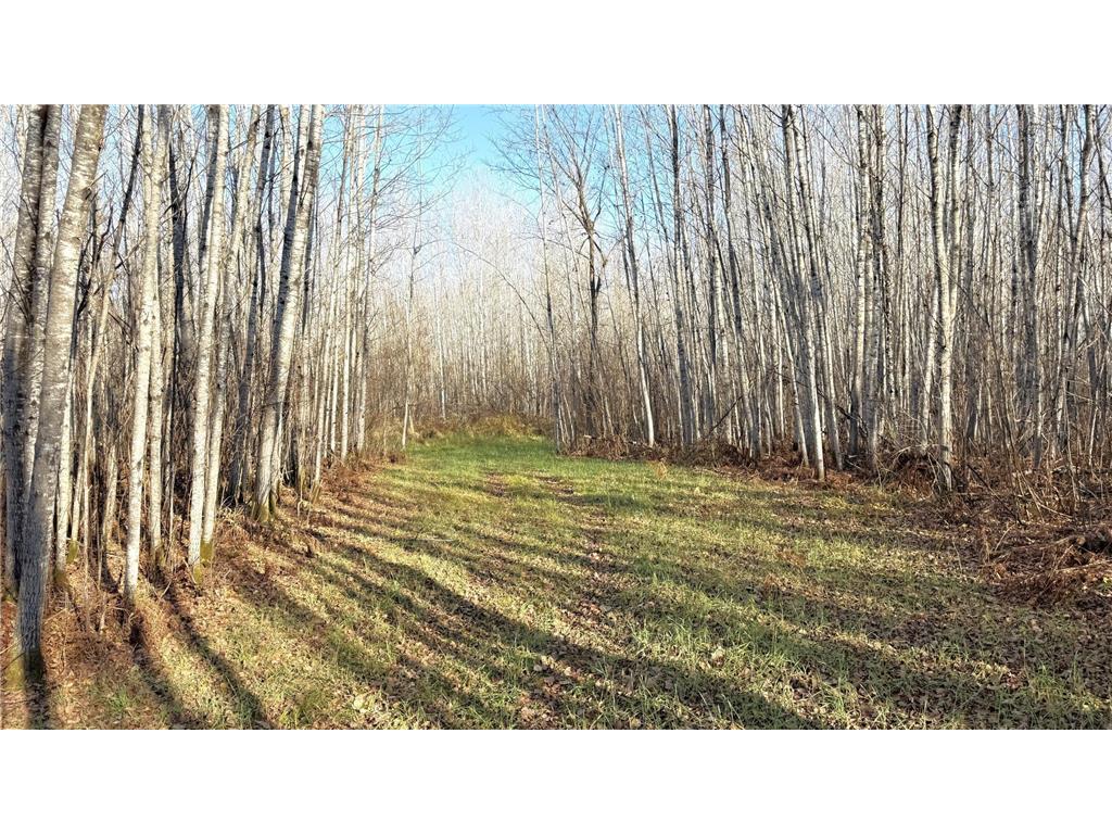 11680 County 59 Road Orr MN 55771 7044810 image12