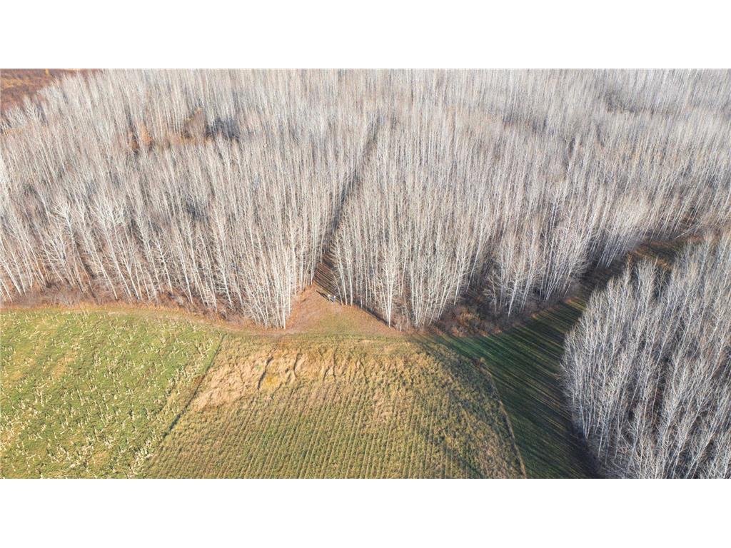 11680 County 59 Road Orr MN 55771 7044810 image6