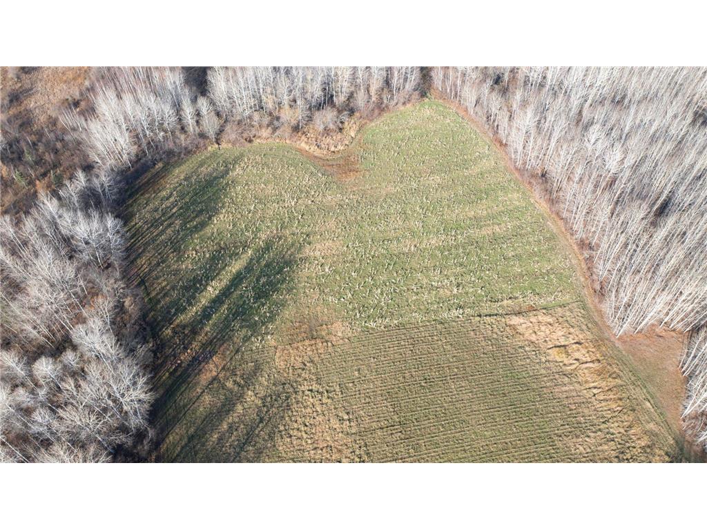 11680 County 59 Road Orr MN 55771 7044810 image7