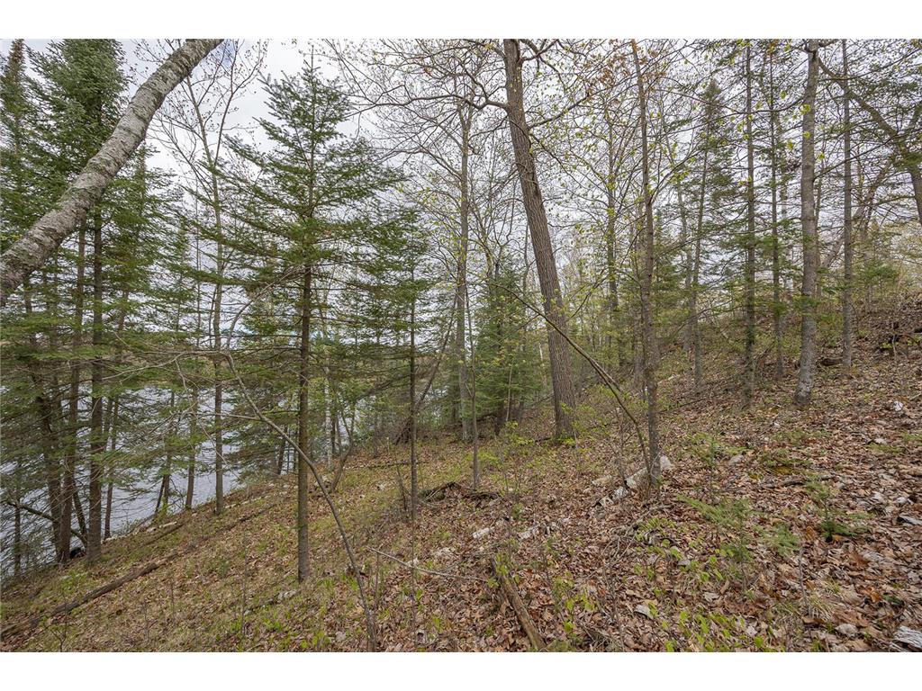 1169 Wabedo Pass Road NE Longville MN 56655 - Wabedo 7075029 image35
