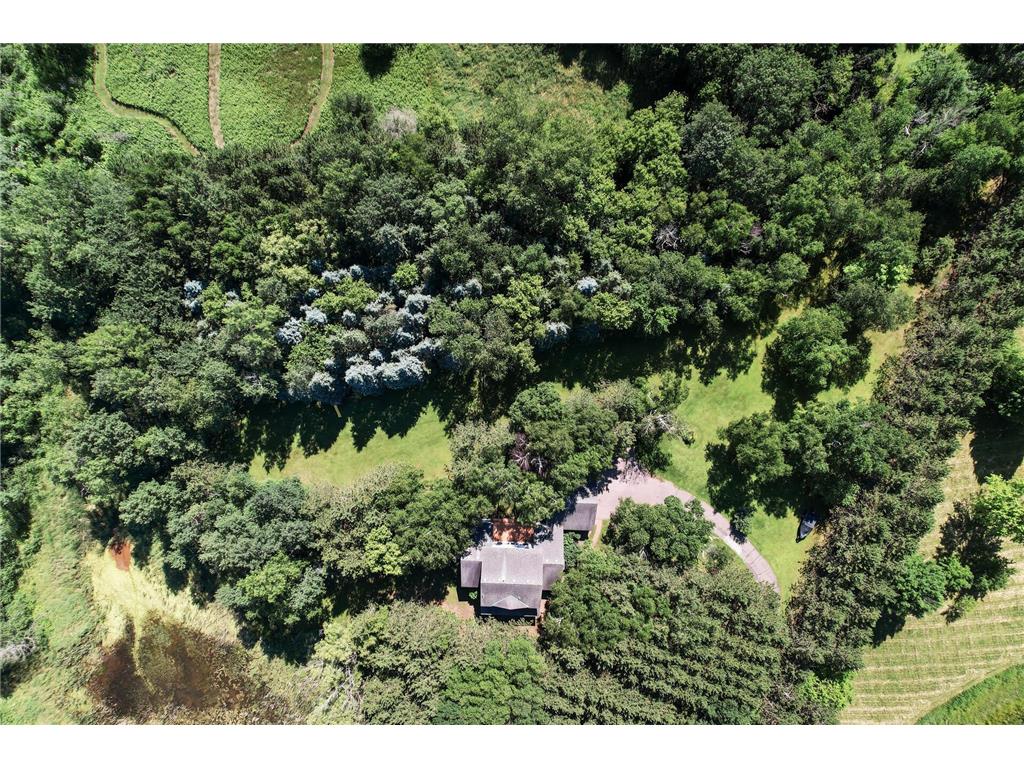 11691 115th Street N Grant MN 55082 6753936 image46