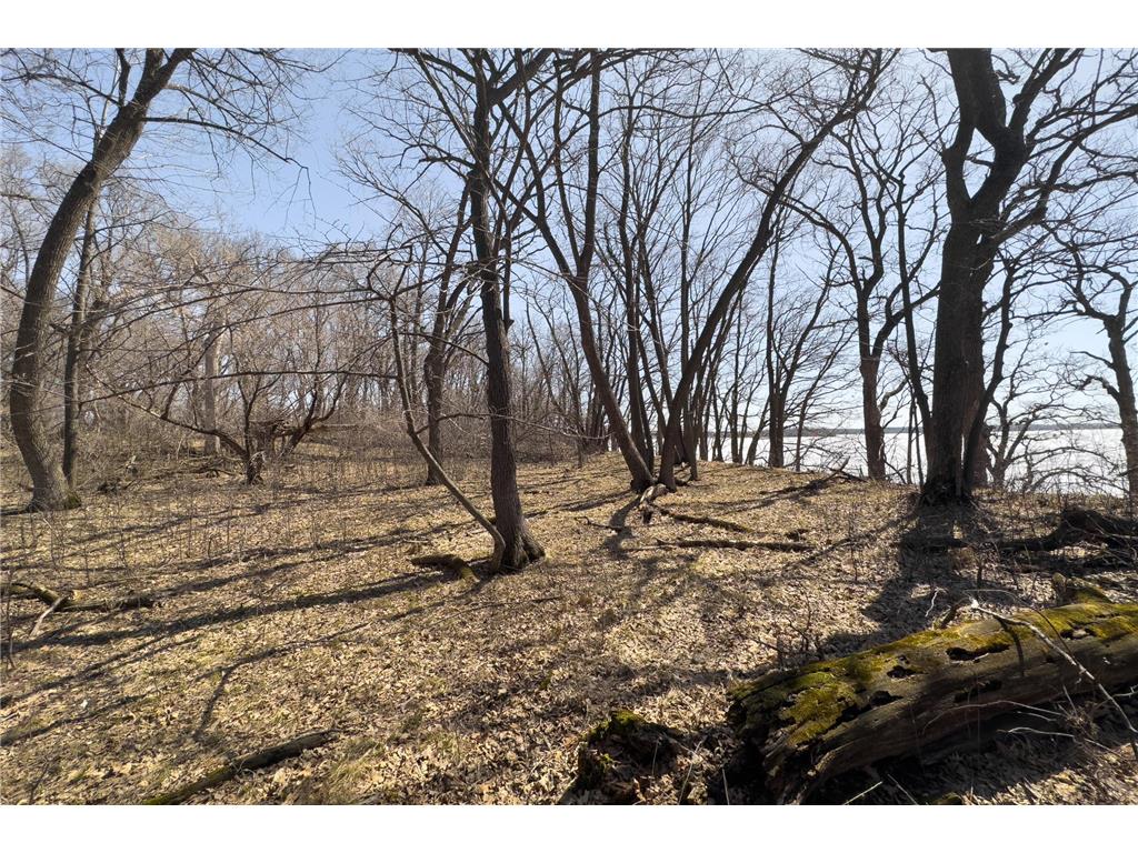 116xx Big Island Road Ashby MN 56309 - Pelican 6356327 image1