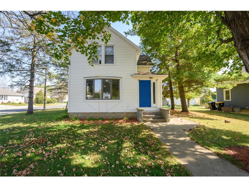 117 2nd Avenue NW Pine Island MN 55963 6565427 image1