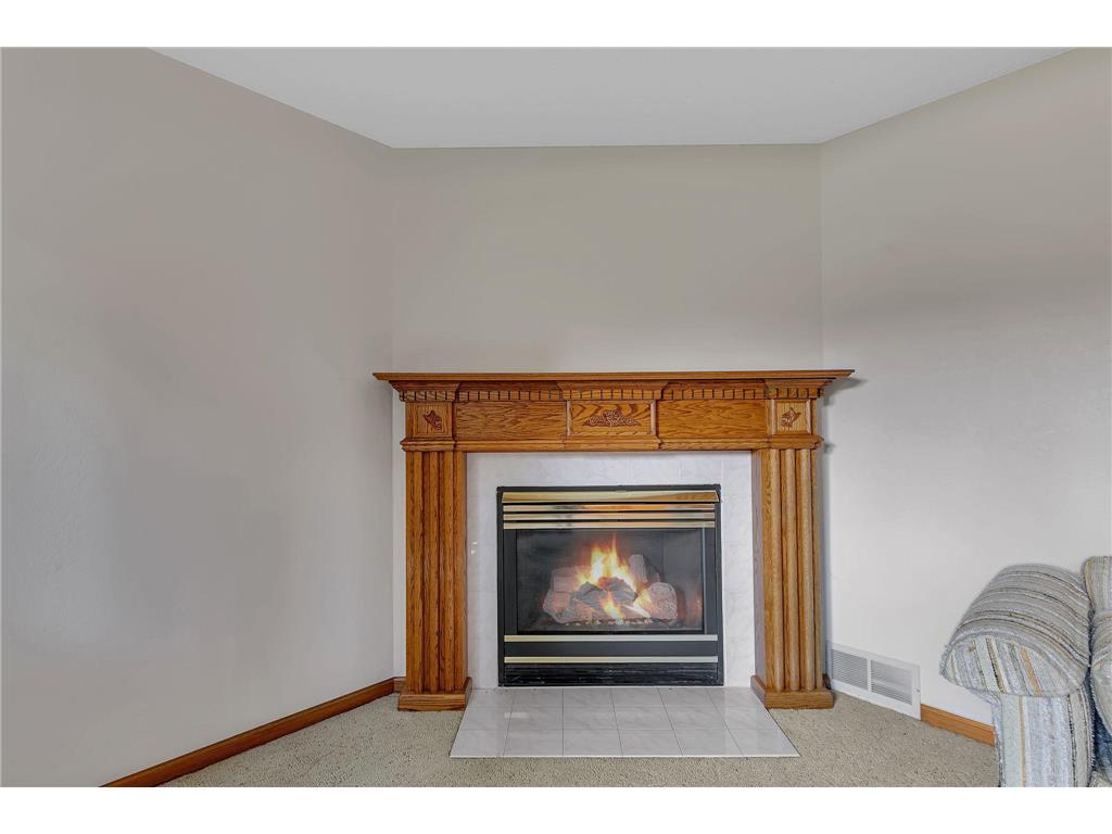 117 Benton Oaks Drive Sauk Rapids MN 56379 7100329 image28