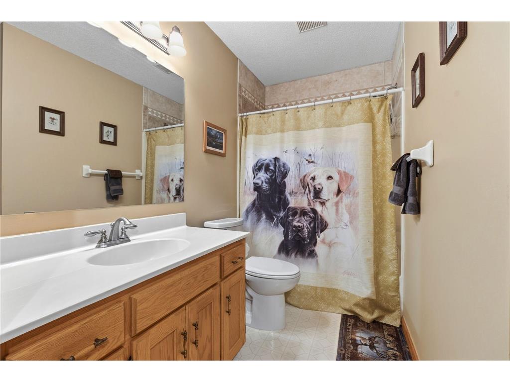 117 Carissa Lane SW Saint Michael MN 55376 7082031 image13
