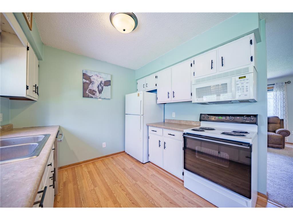 117 Vineyard Street Cannon Falls MN 55009 7069774 image17