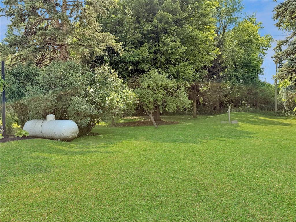 1170 County Road 115 Hope Twp MN 56178 7101395 image48