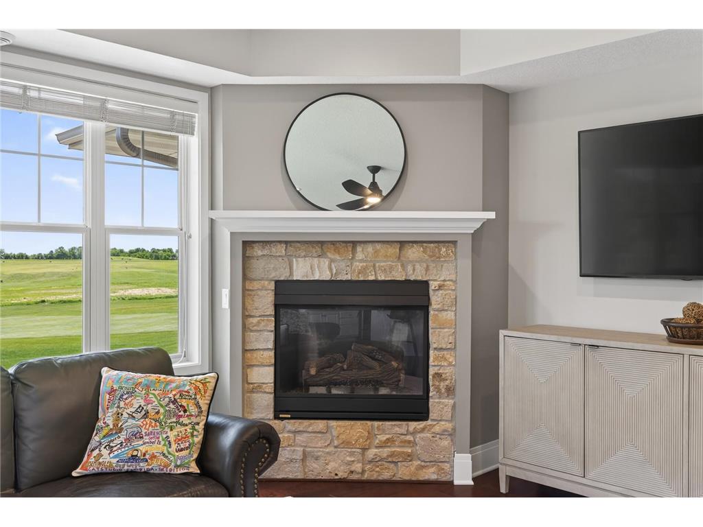 1171 Gallery Lane Chaska MN 55318 7083922 image11