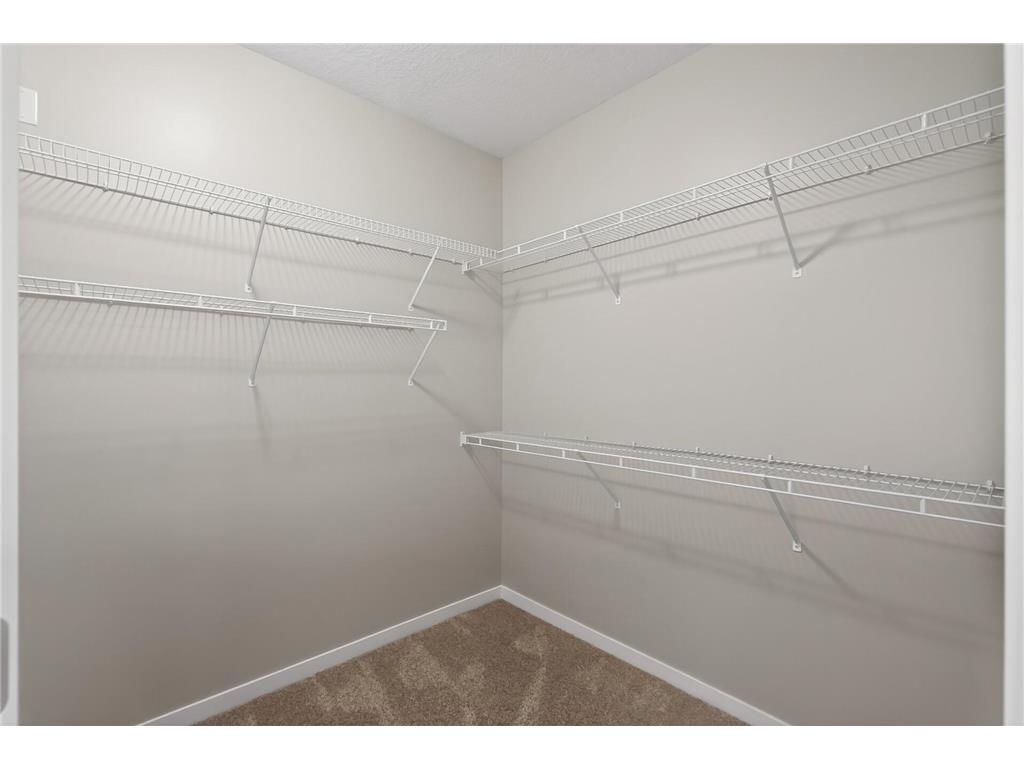 1171 Gallery Lane Chaska MN 55318 7083922 image28