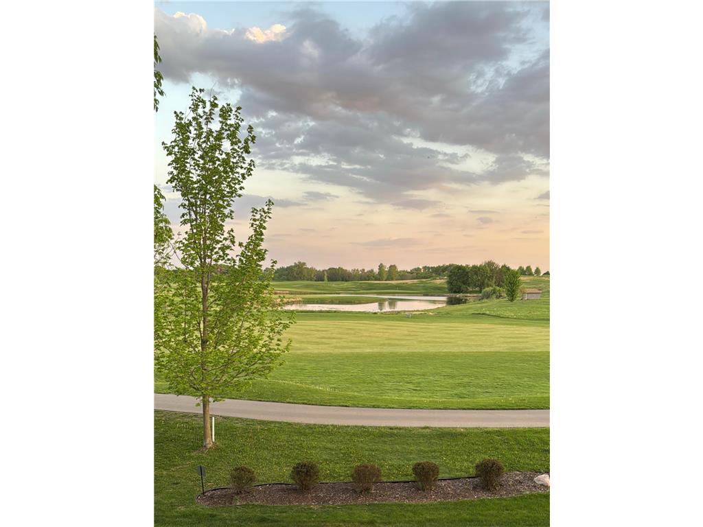 1171 Gallery Lane Chaska MN 55318 7083922 image46