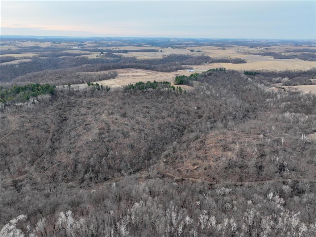 11719 Ridgeview Road Hokah MN 55941 7042676 image46