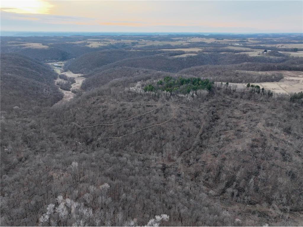 11719 Ridgeview Road Hokah MN 55941 7042676 image47