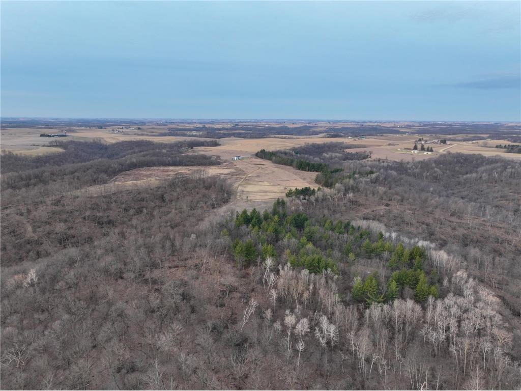 11719 Ridgeview Road Hokah MN 55941 7042676 image49