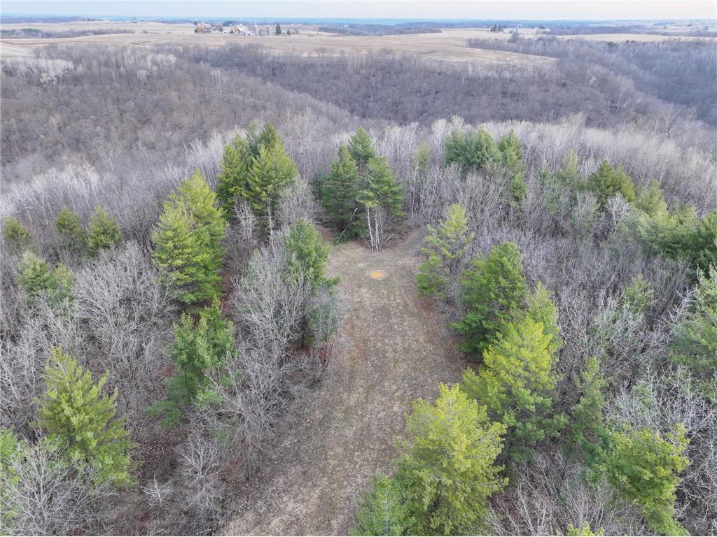 11719 Ridgeview Road Hokah MN 55941 7042676 image50