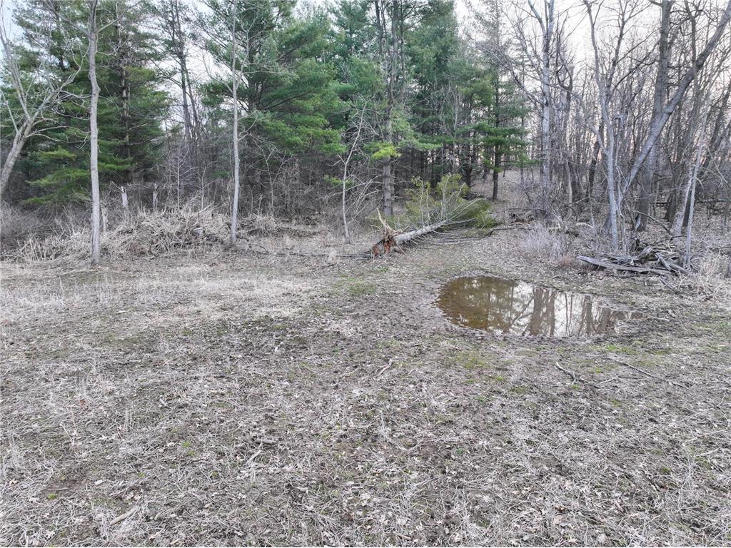11719 Ridgeview Road Hokah MN 55941 7042676 image51